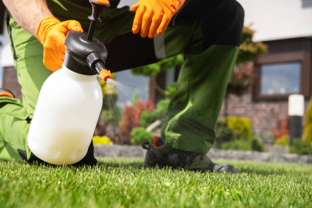 Best Pest Prevention Services  in Westchase, FL